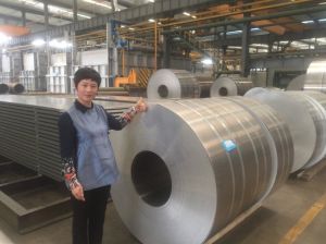 Bright Surface 6mm Thickness 6061 Cutted Small Aluminum Coil